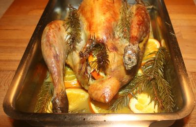 Pintade de Noël ; orange et sapin