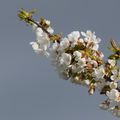 Le lundi c'est photographie: lumière parfaite!