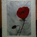 coquelicot