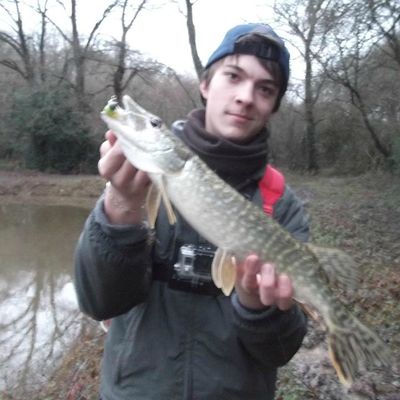 Bonne année à tous !