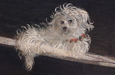 Le petit chien de Vittore Carpaccio (1465-1526)