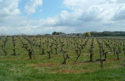 Bordeaux