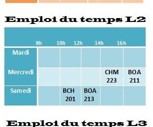 Emploi du temps TDs 