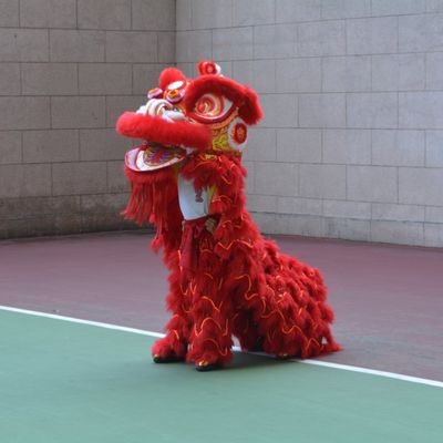 NOUVEL AN CHINOIS - annee du Serpent