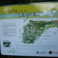 Le delta de la Leyre