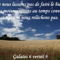 Galates 6 verset 9