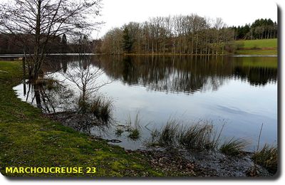 LA BIODIVERSITE DU LIMOUSIN EST-ELLE EN DANGER ?