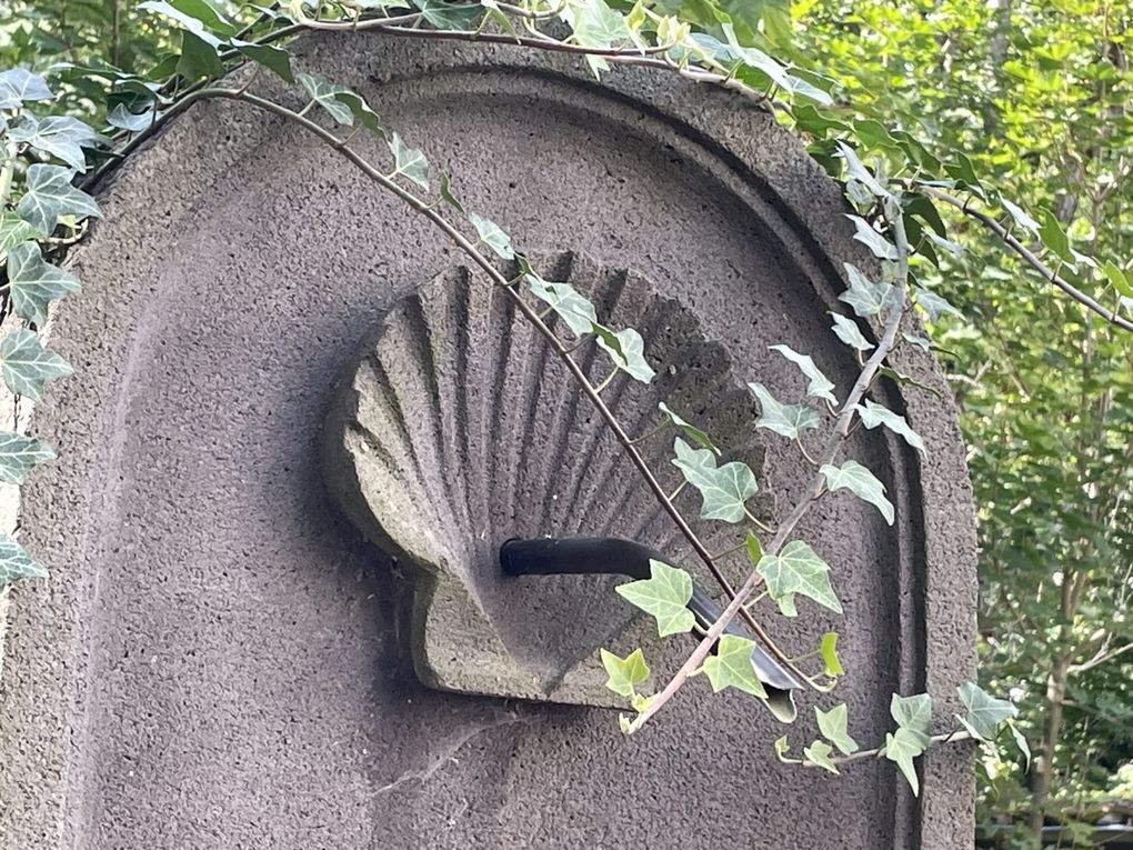 Mercredi 01 octobre 2025 Balade (en date du 27 sept 2025) dans les bois d'Enval jusqu'à la source Marie ,  Initialement exploitée au XIXᵉ siècle pour ses vertus médicinales, La source fut « perdue » vers 1920, puis retrouvée en 1999, Un aménagement (pompe à bras, restauration partielle) a été mis en place après sa redécouverte, le retour harde pour moi mais j'ai poursuivi  au village