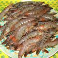 Queues de Gambas sautées, à la noix de coco et vanille 