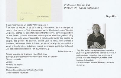 Précaire, nouveau recueil de Guy Allix