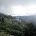 Pluie et Brume au Col de Bussang