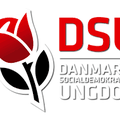 Danemark : quel socialisme ?