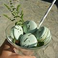 Macarons Mojito 