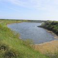 Ile de Ré - Réserve Naturelle de Lilleau des Niges