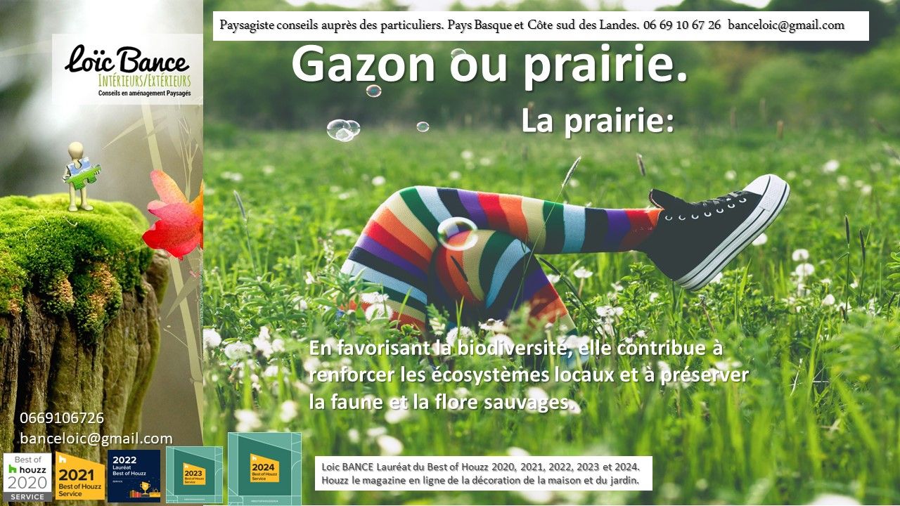 Favorise la biodiversité et les écosystèmes locaux, préserve la faune et la flore sauvage. Par Paysagiste Pays Basque et Paysagiste Landes.