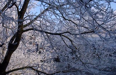 l'hivers ça donne ça