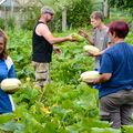 CIRCUITS COURTS … COMME COURGETTES