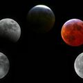 Eclipse totale de lune mercredi 15 juin