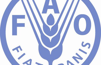 La FAO, une institution très critiquée