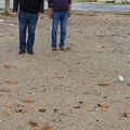 Pétanque du Jeudi 24 Novembre 2016