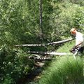 Commune : Colmars les Alpes Cours d’eau : Le Clot Charbonnier ( Tclo)