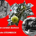 JOHN STEINBECK (1902~1968) - In Dubious Battle (1936) ; En un combat douteux (1939)