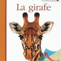 Mes premières découvertes de Gallimard : la collection des p'tits curieux