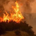 Incendies en Californie