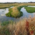 jeudi 26/07/18 de st Armel au crouesty