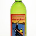 L'agave, cette "succulente" dont les Mexicains tirent la tequila et le mezcal