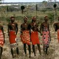 Des Maasai expulsés et incarcérés pour faire place à des concessions de chasse