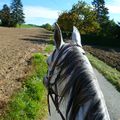 Rallye de Begnins