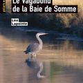 Le vagabond de la baie de Somme