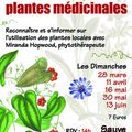 balade plantes médicinales