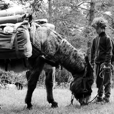 un week-end de mai, le Vercors, des ânes et une cabane