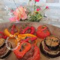 Aubergine poivrons tomates farcis, et les joies de la glisse automnale à saint Malo