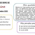 Carnet de bord, du 4 au 10 novembre 2020