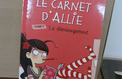 Le Carnet d'Allie tome 1 : le déménagement - Meg Cabot