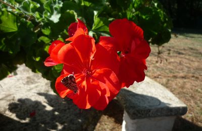 SEPTEMBRE... 
