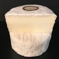 Brillat-Savarin et Crémant de Bourgogne, Deux Bourguignons pour un  accord parfait