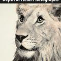 09/11/2022, HERITAGE, "Depth of Field: Photographs": Vente
