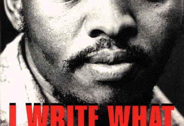 Lectures pour tous : Marie Darrieussecq et Steve Biko