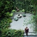 Un jardin dans la maison. Magnifique !