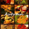 Apprivoiser l'automne