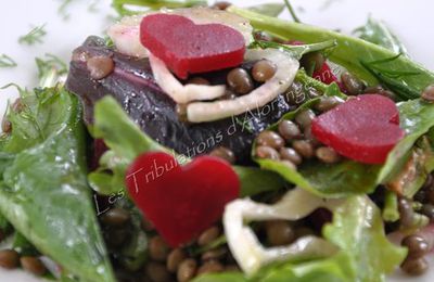 Salade de lentilles, fenouil, betterave et feuilles