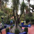 JARDIN MAJORELLE