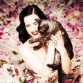 Les dimanches de Dita: la preuve est faite, Dita possède les plus chattes qu'on puisse fantasmer, un peu sauvage mais ardente.