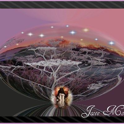 nouvelles créations 2009