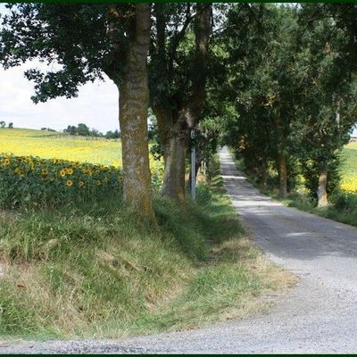 VISITE DU DOMAINE DU SEIGNOU