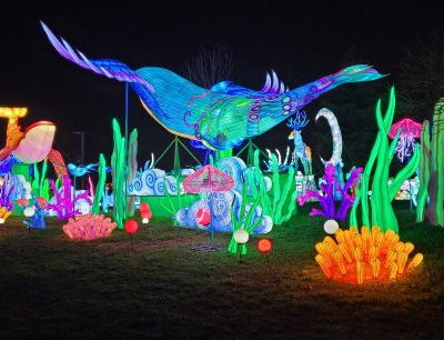 BLAGNAC Festival des Lanternes